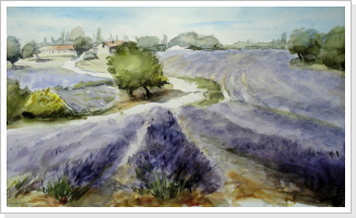 Lavendelfeld in der Provence - Aquarell
