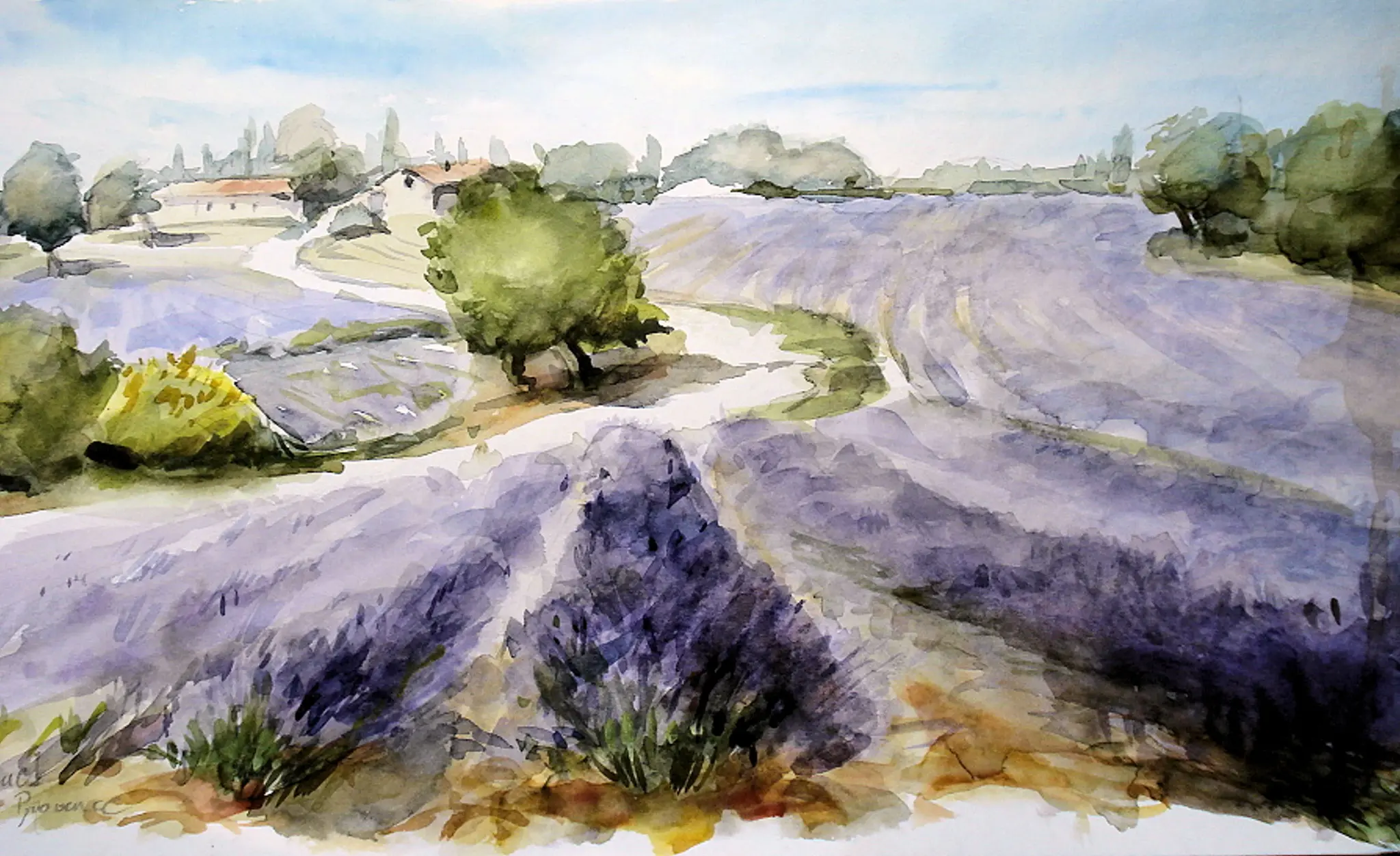 Lavendelfeld in der Provence - Violette Blütenlandschaft Aquarellbild von Arte Tarantino