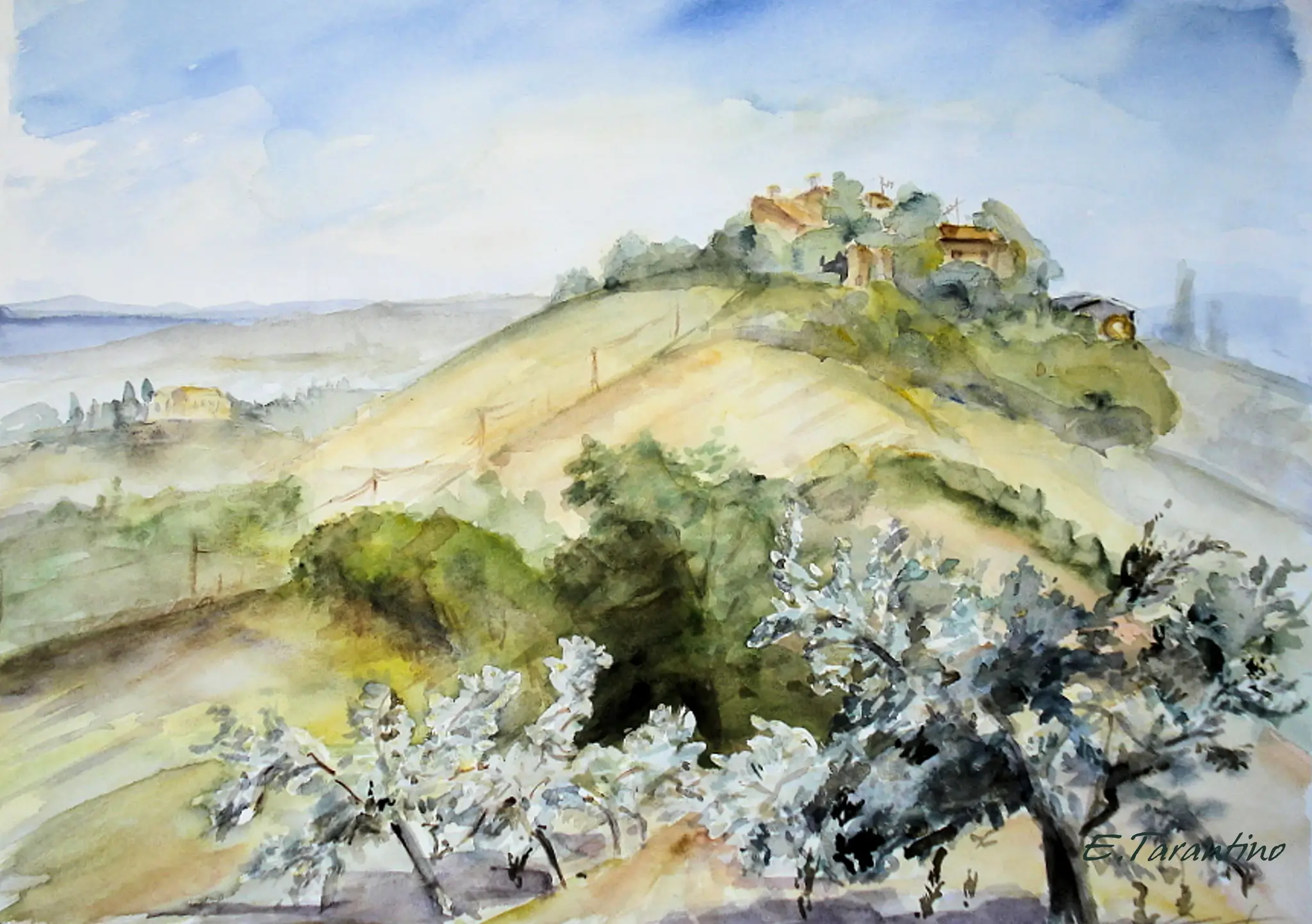 Olivenhain in der Toskana - Toskanische Olivenbäume Aquarellbild von Arte Tarantino